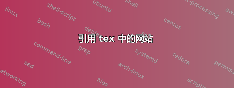 引用 tex 中的网站