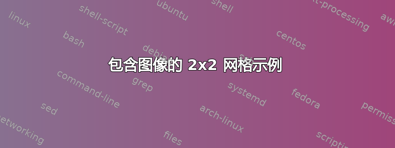 包含图像的 2x2 网格示例