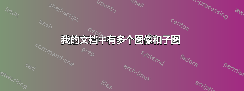 我的文档中有多个图像和子图