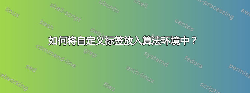 如何将自定义标签放入算法环境中？