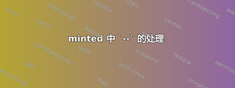 minted 中 `--` 的处理