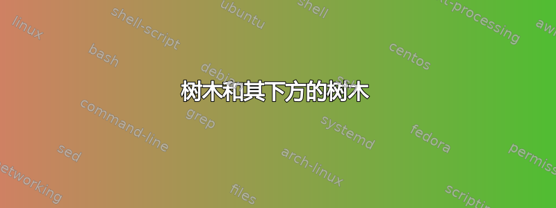 树木和其下方的树木