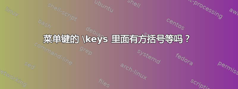 菜单键的 \keys 里面有方括号等吗？