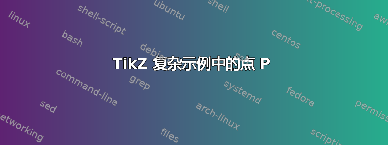 TikZ 复杂示例中的点 P