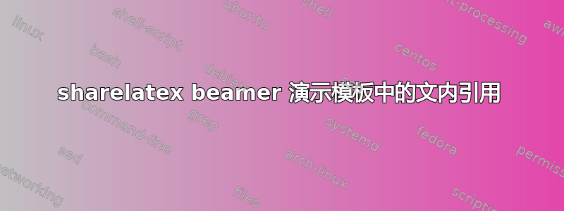 sharelatex beamer 演示模板中的文内引用