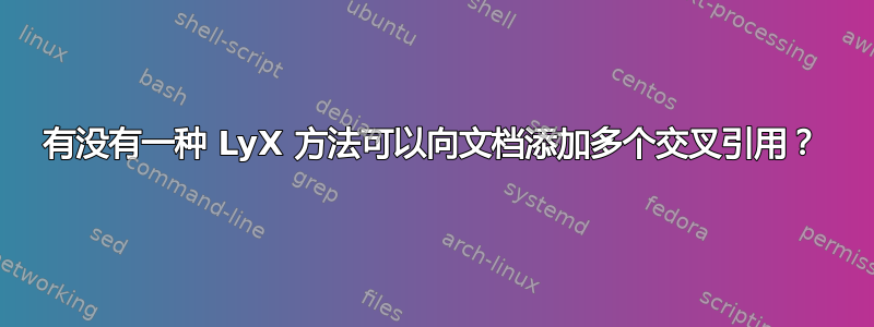 有没有一种 LyX 方法可以向文档添加多个交叉引用？