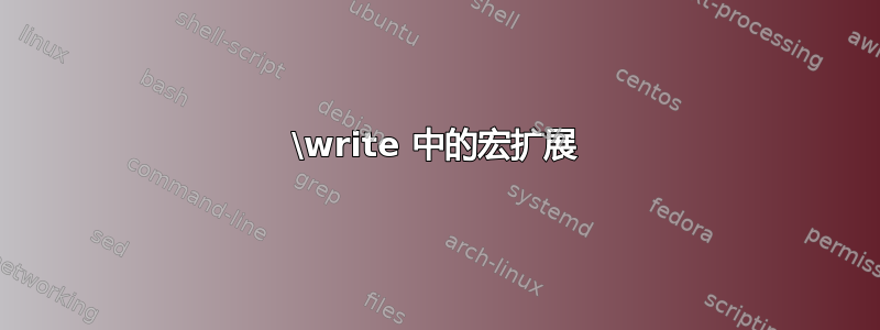 \write 中的宏扩展