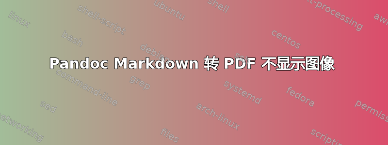 Pandoc Markdown 转 PDF 不显示图像