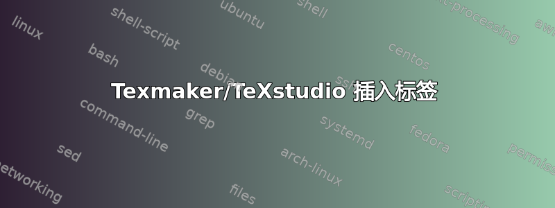 Texmaker/TeXstudio 插入标签