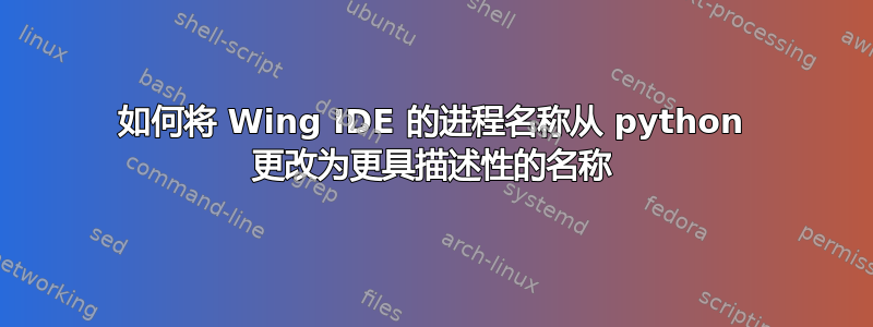 如何将 Wing IDE 的进程名称从 python 更改为更具描述性的名称