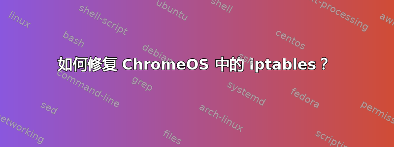 如何修复 ChromeOS 中的 iptables？