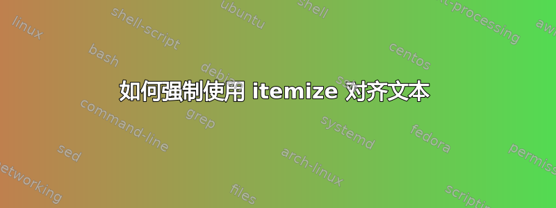 如何强制使用 itemize 对齐文本