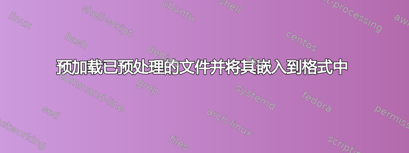 预加载已预处理的文件并将其嵌入到格式中