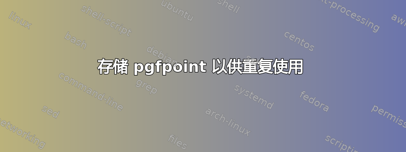 存储 pgfpoint 以供重复使用