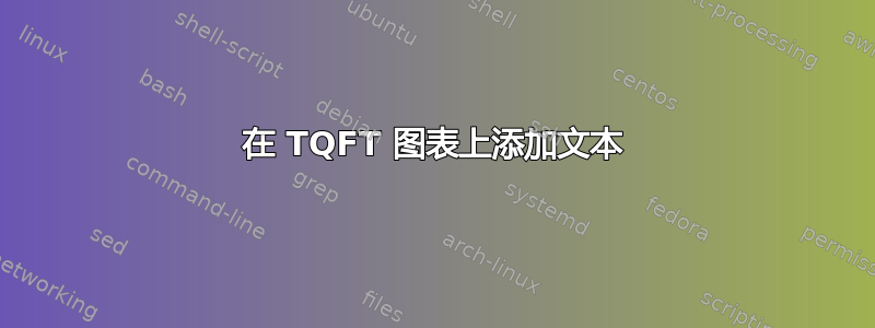 在 TQFT 图表上添加文本