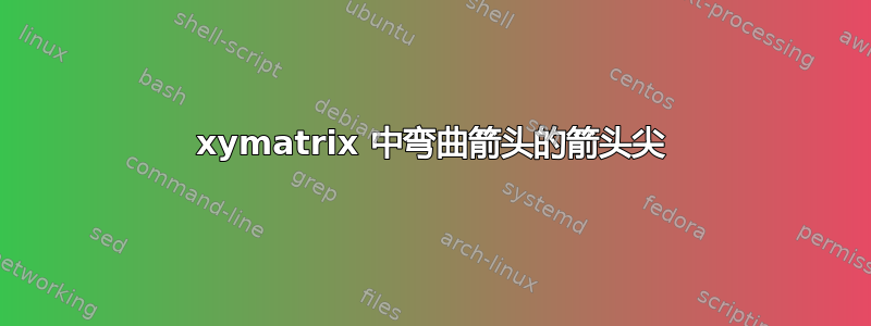 xymatrix 中弯曲箭头的箭头尖