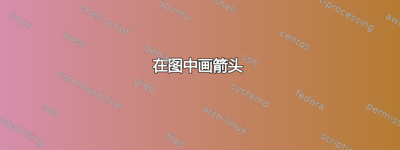 在图中画箭头