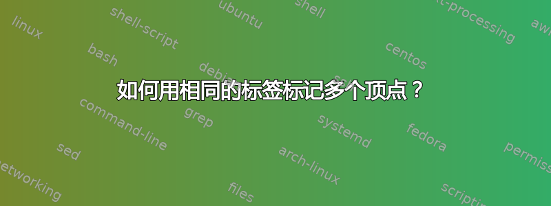 如何用相同的标签标记多个顶点？