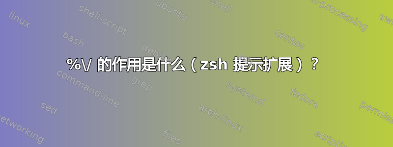 %\/ 的作用是什么（zsh 提示扩展）？