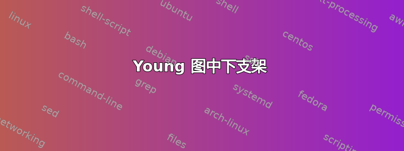 Young 图中下支架