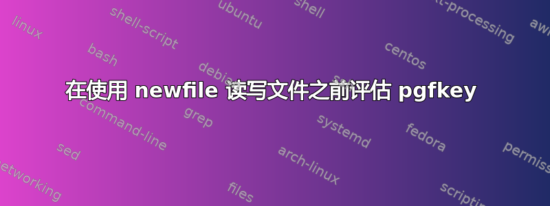 在使用 newfile 读写文件之前评估 pgfkey