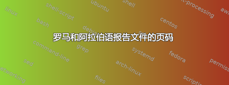 罗马和阿拉伯语报告文件的页码