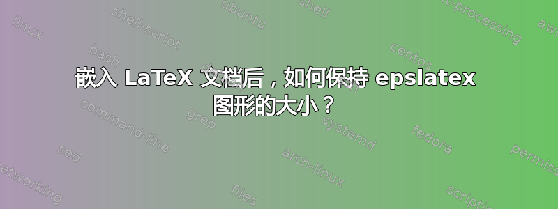 嵌入 LaTeX 文档后，如何保持 epslatex 图形的大小？