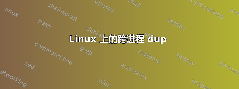 Linux 上的跨进程 dup