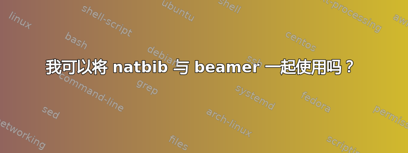 我可以将 natbib 与 beamer 一起使用吗？