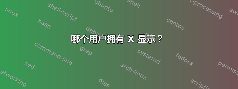 哪个用户拥有 X 显示？