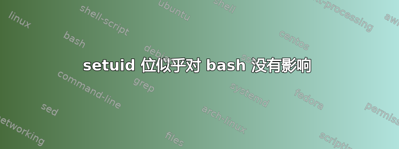 setuid 位似乎对 bash 没有影响