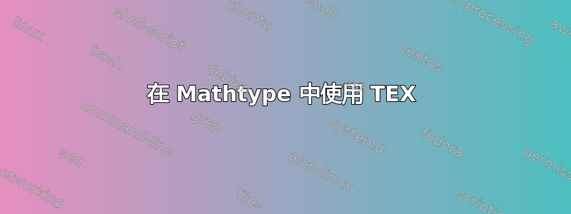 在 Mathtype 中使用 TEX