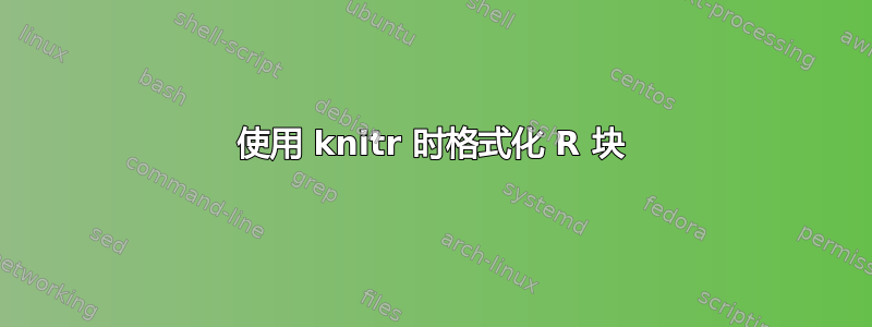 使用 knitr 时格式化 R 块