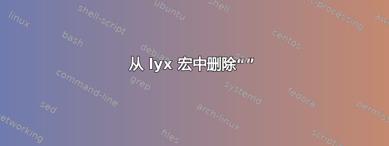 从 lyx 宏中删除“”