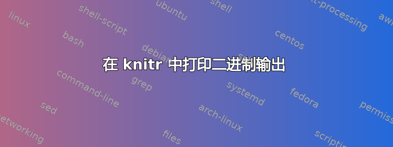 在 knitr 中打印二进制输出