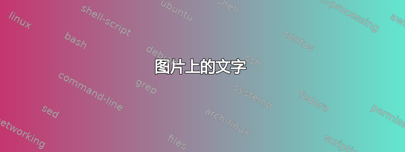 图片上的文字