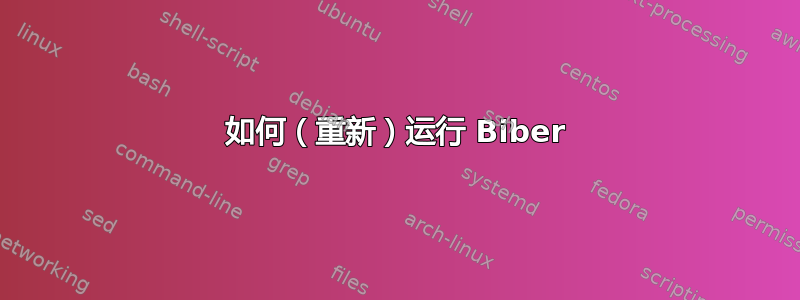 如何（重新）运行 Biber