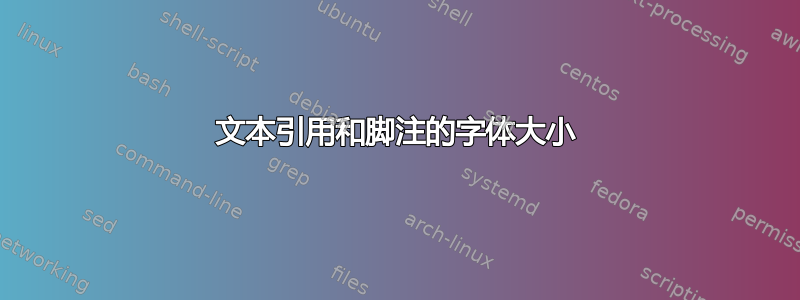 文本引用和脚注的字体大小