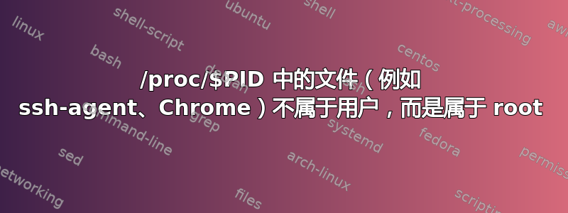 /proc/$PID 中的文件（例如 ssh-agent、Chrome）不属于用户，而是属于 root