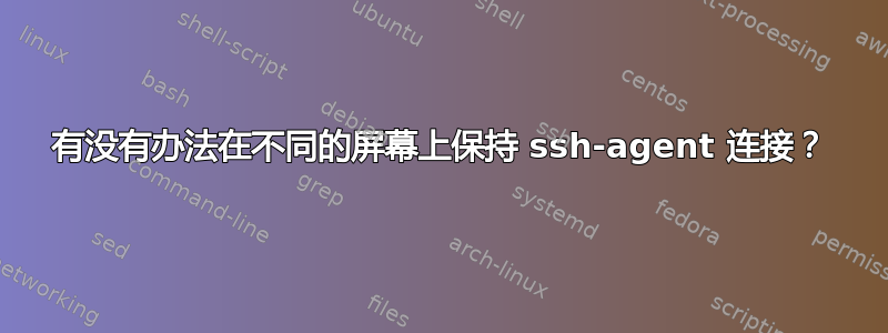 有没有办法在不同的屏幕上保持 ssh-agent 连接？