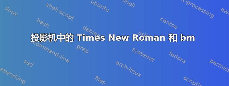 投影机中的 Times New Roman 和 bm