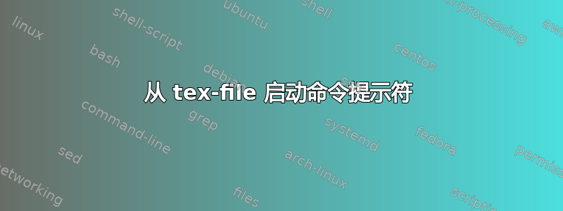 从 tex-file 启动命令提示符