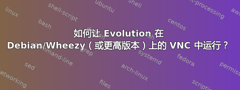 如何让 Evolution 在 Debian/Wheezy（或更高版本）上的 VNC 中运行？