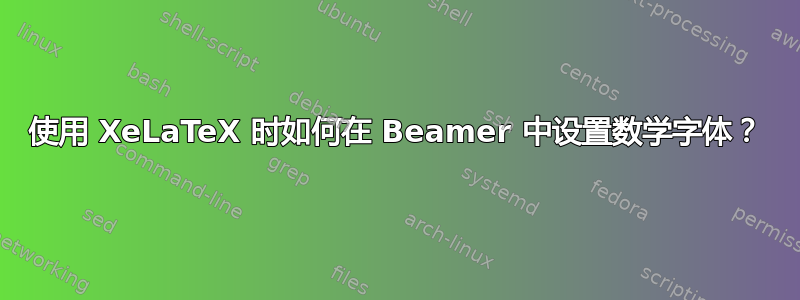 使用 XeLaTeX 时如何在 Beamer 中设置数学字体？