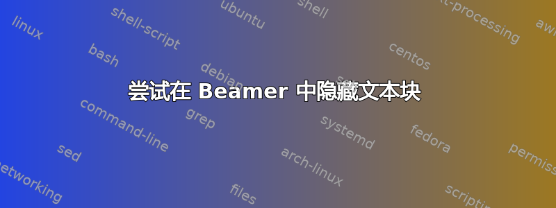 尝试在 Beamer 中隐藏文本块