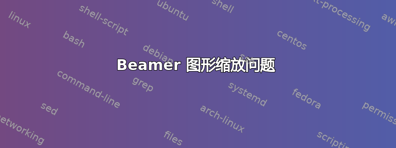 Beamer 图形缩放问题