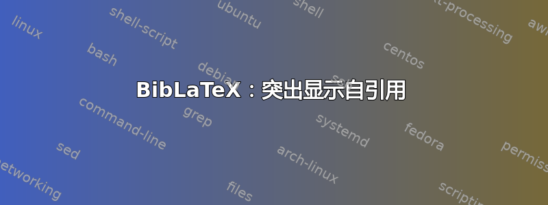 BibLaTeX：突出显示自引用