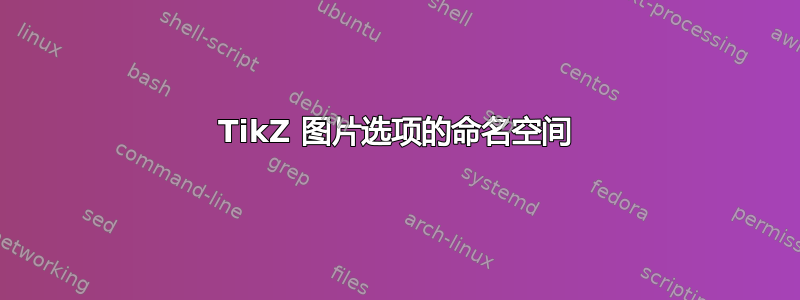 TikZ 图片选项的命名空间