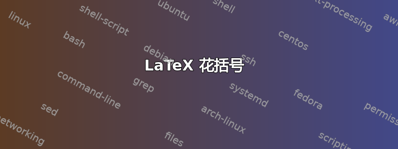 LaTeX 花括号 