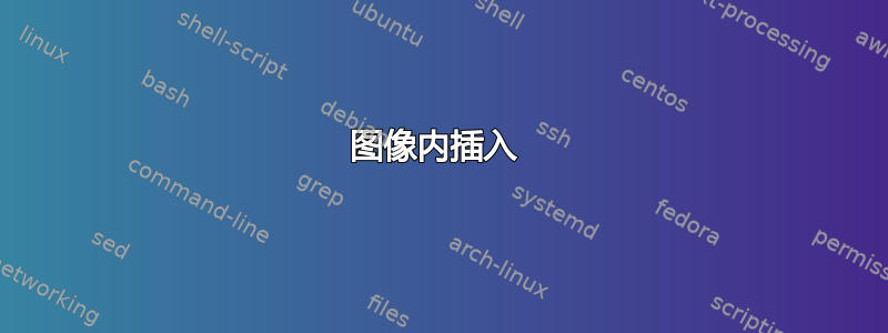 图像内插入 